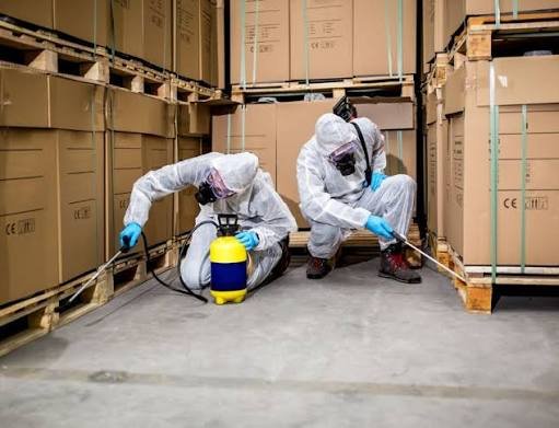 Professional fumigation service